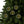 Find Guns Find Drugs No Mercy Ornament