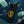 Find Guns, Find Drugs, No Mercy Phone Case