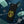 Find Guns, Find Drugs, No Mercy Phone Case