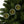 Find Guns Find Drugs No Mercy Ornament
